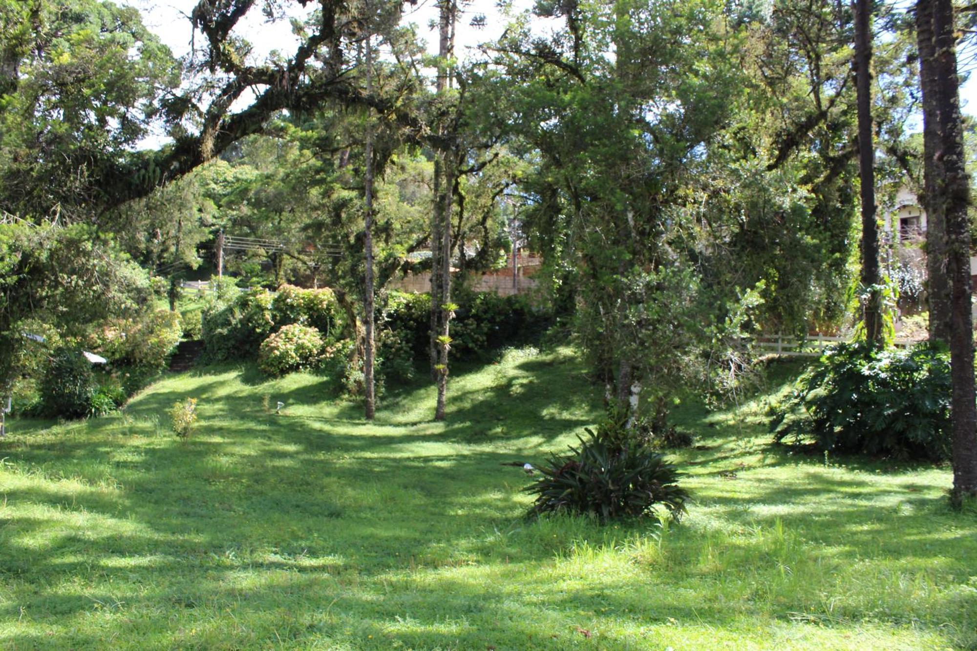 Chale Mon Amour 3 Campos do Jordão المظهر الخارجي الصورة
